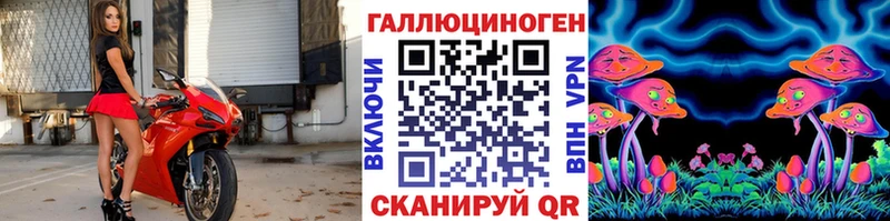 Галлюциногенные грибы Cubensis  Купить где  Куса 